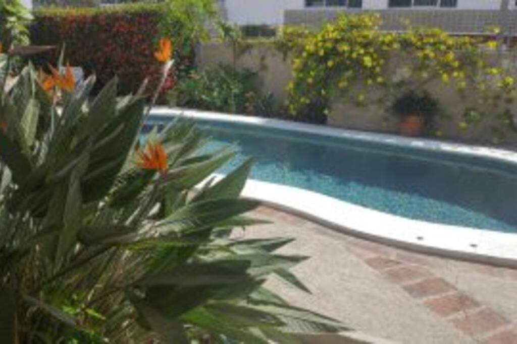Apartmento Con Alberca A 50 Mt Del Mar La Licha Mazatlan Bagian luar foto